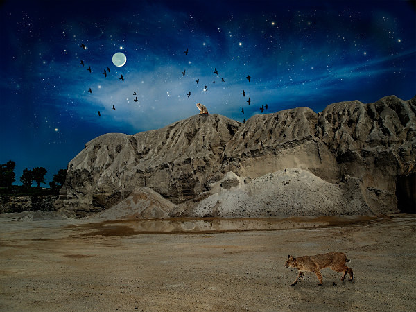  - STELLAR REMNANTS