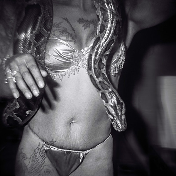  - SERPENTINA