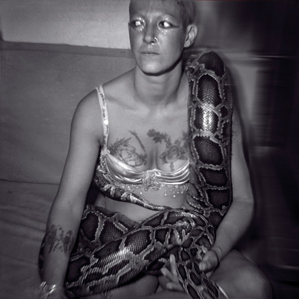  - SERPENTINA