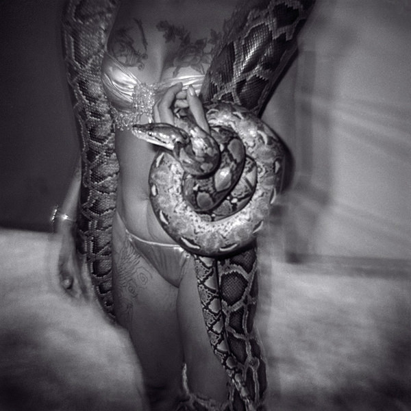  - SERPENTINA