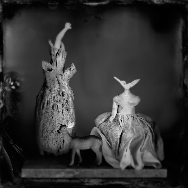  - CIRQUE du PSYCHE I
