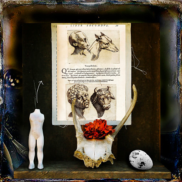 Head Bump Reading - CIRQUE du PSYCHE II