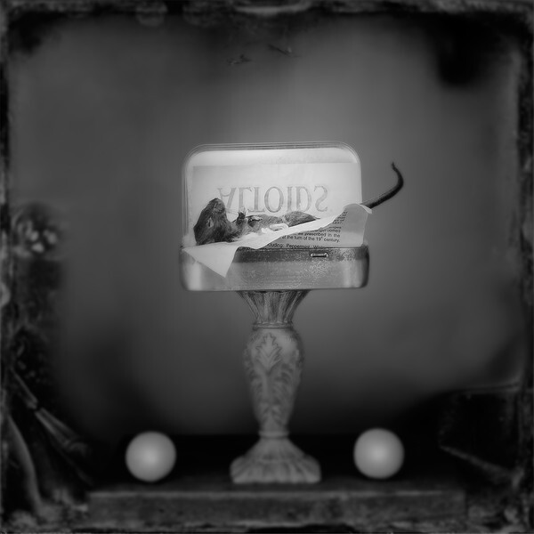  - CIRQUE du PSYCHE I