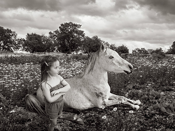 The Horse - THE NATURE JOURNAL