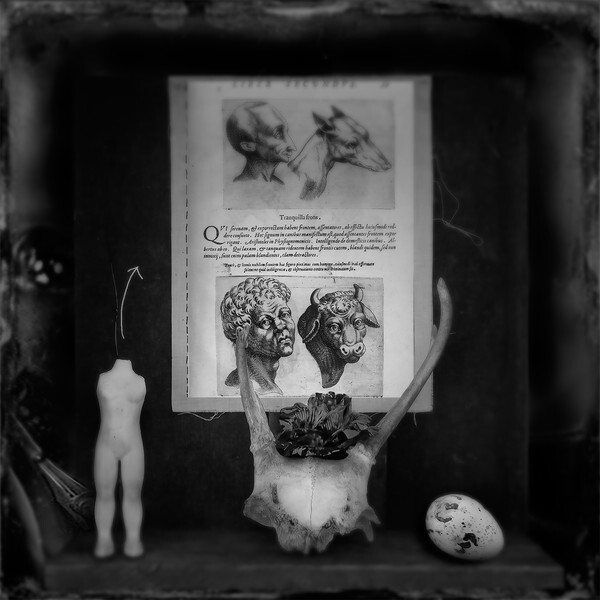 - CIRQUE du PSYCHE I