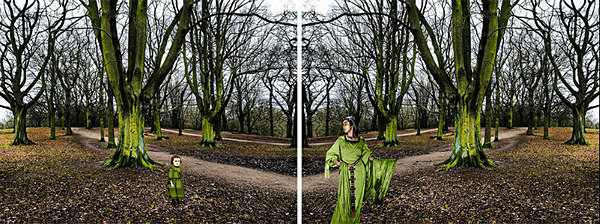 I Went to the Woods - DUALITIES