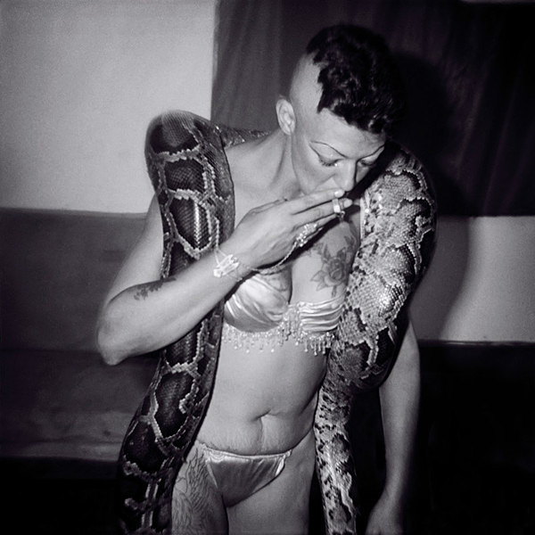  - SERPENTINA