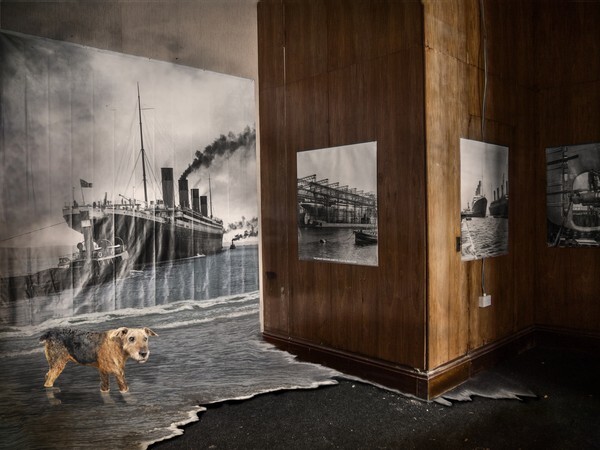  - ANIMALS OF THE TITANIC
