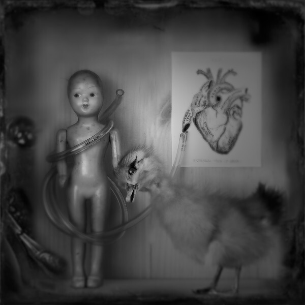  - CIRQUE du PSYCHE I