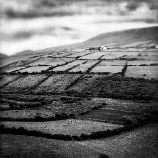 The Land - SEEING THROUGH THE HEART