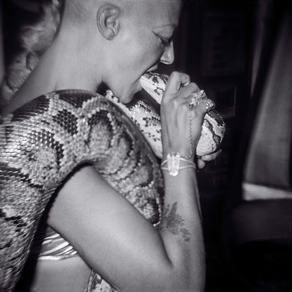  - SERPENTINA