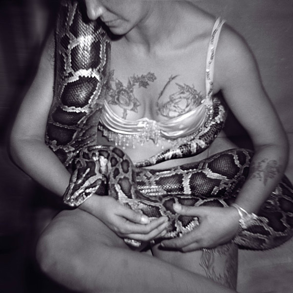  - SERPENTINA