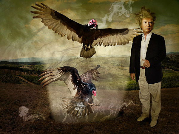  - NOT MY PRESIDENT