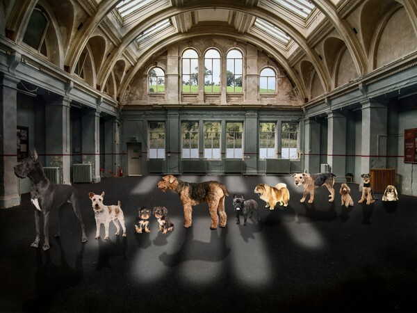  - ANIMALS OF THE TITANIC