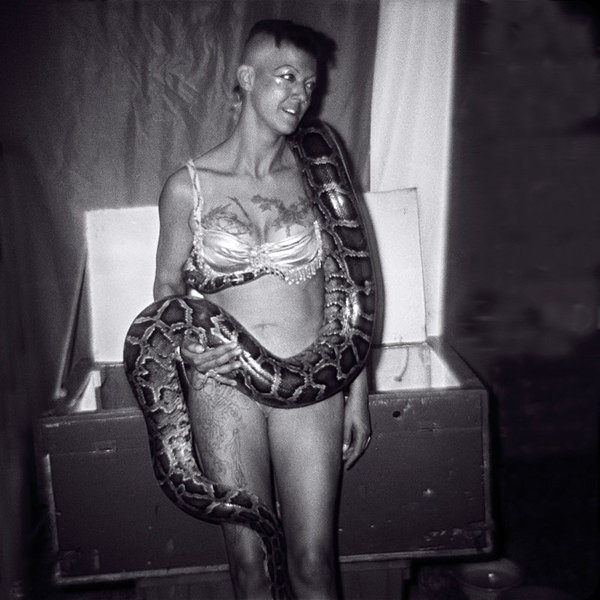  - SERPENTINA