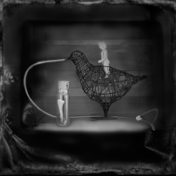  - CIRQUE du PSYCHE I