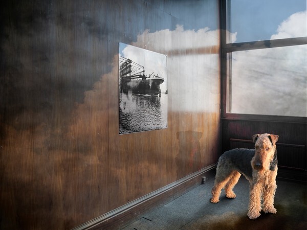  - ANIMALS OF THE TITANIC