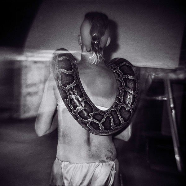 - SERPENTINA