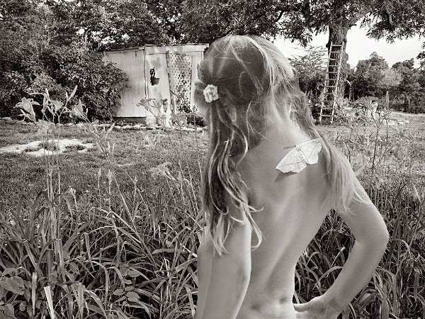 Butterfly - THE NATURE JOURNAL