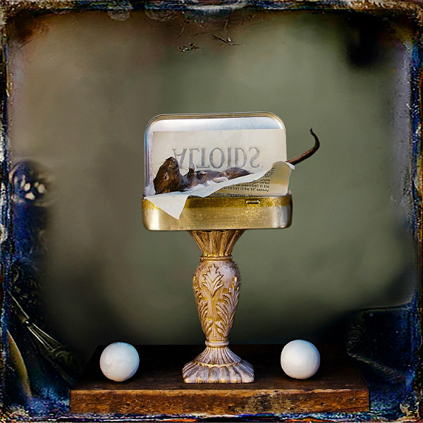 The Mouse That Roared - CIRQUE du PSYCHE II