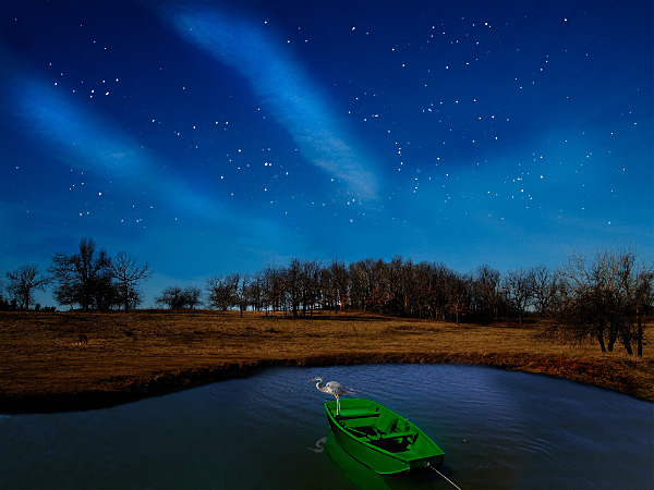  - STELLAR REMNANTS