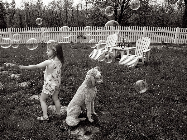 Bubbles - THE NATURE JOURNAL