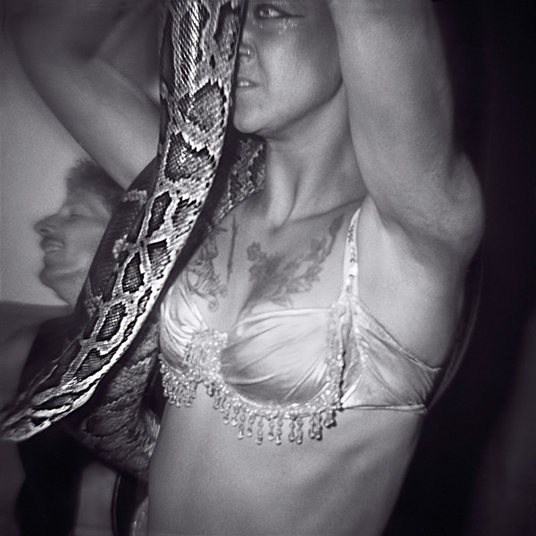  - SERPENTINA