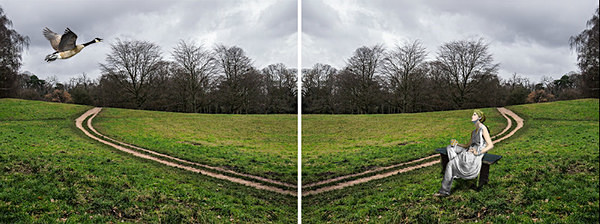 If Ever Our Paths Cross - DUALITIES
