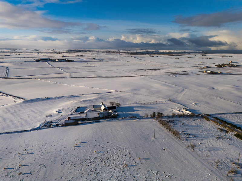 Murkle 04 - Caithness