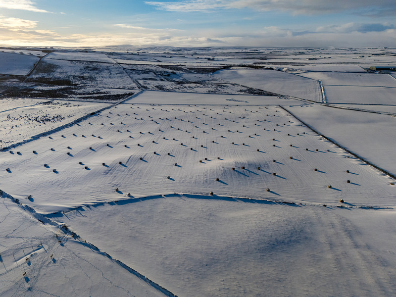 Murkle 05 - Caithness