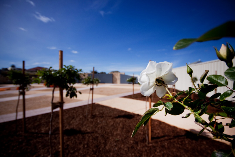  - LANDSCAPE ENVIRONS