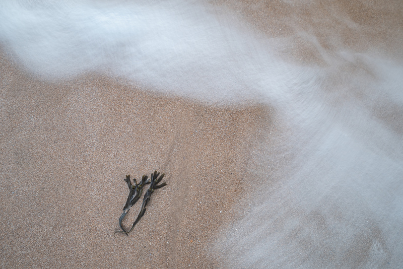 Forlorn 10 - Details