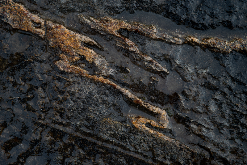 Veins 2 - Details