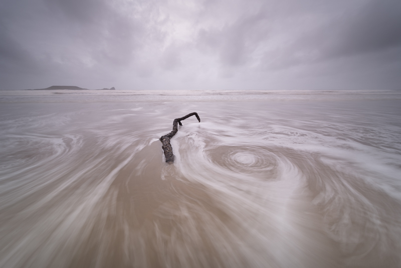 Driftwood - Shoreline
