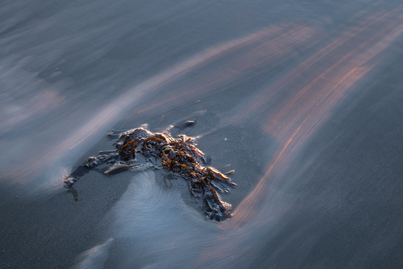 Forlorn 14 - Details