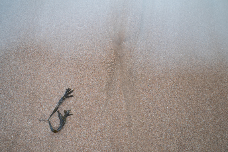 Forlorn 11 - Details