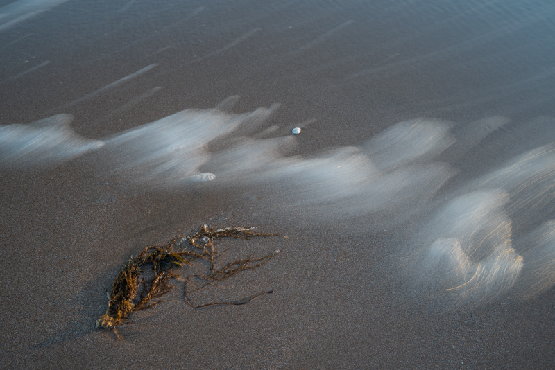 Forlorn 2 - Details