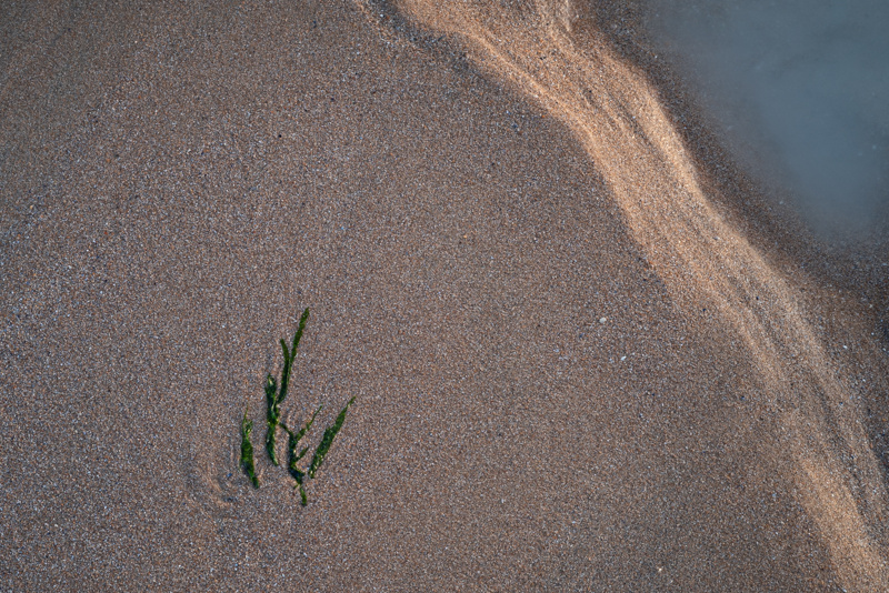 Emerge - Details
