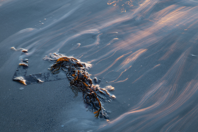 Forlorn 13 - Details