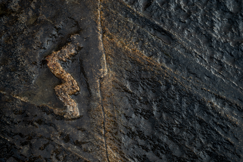 Veins 3 - Details