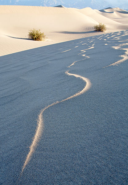 DUNES #4 - DEATH VALLEY NP - DUNES