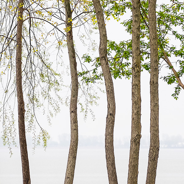EDGE, INNER BAY - PORT ROWAN - KATHY'S TENSET, 2013