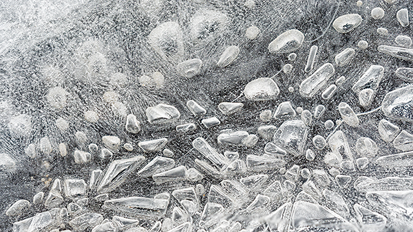 WINTER'S EDGE #2, 2019 - LONG POINT - DETAILS
