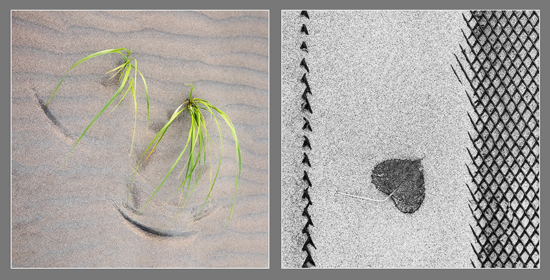HE/SHE #13, 2013 - HE SAW- SHE SAW