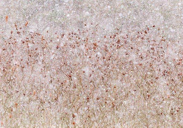 March Snow Squall #3 - New Works