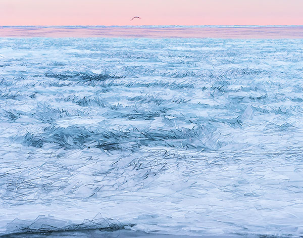ICE PLATES #2, 2018 - PORT DOVER - WINTER