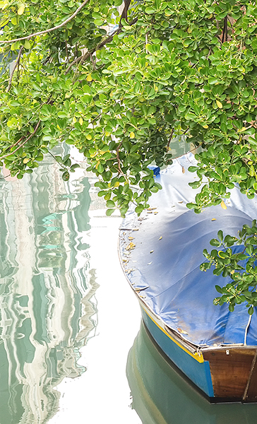 BOAT & FOLIAGE- VENICE - VENICE IN COLOUR