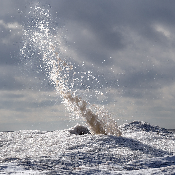THAR SHE BLOWS - LONG POINT BEACH - WINTER
