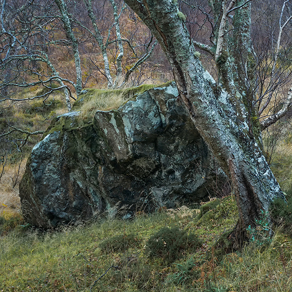 ERRATIC - LOCH MAREE, SCOTLAND - SCOTLAND