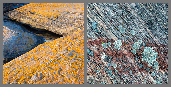HE/SHE, 2015 #19 - PHOTO STORAGE